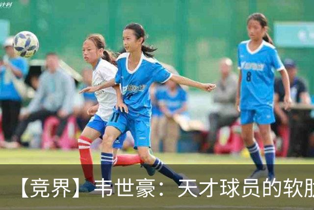 【竞界】韦世豪：天才球员的软肋 洪七公效应的外溢